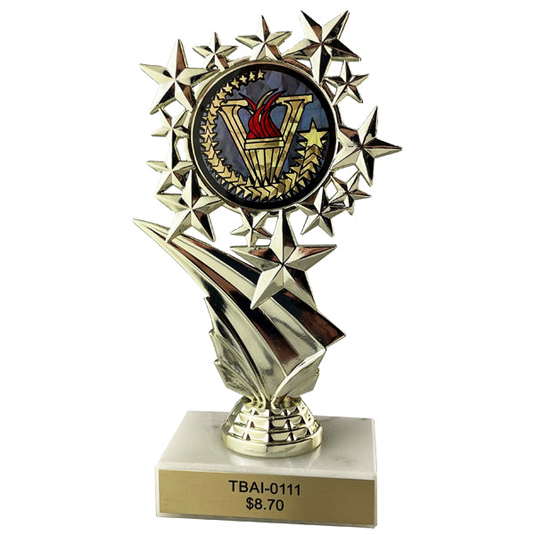 Activity Insert Starburst Trophy