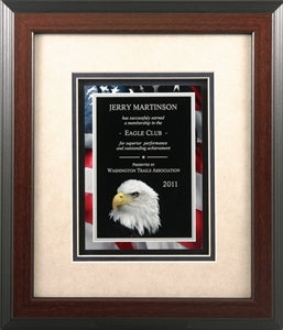 Framed Award w/Flag & Eagle Motif GFR-00028