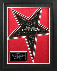 Framed Award w/Star Mats GFR-00031